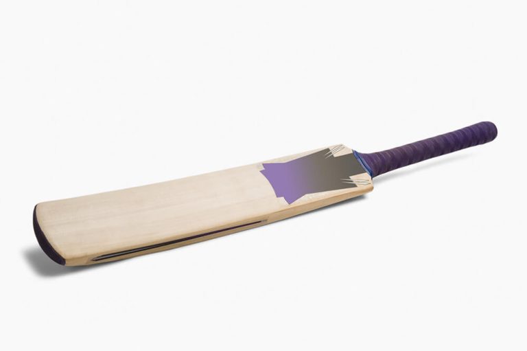 The best cricket bat under $100:
